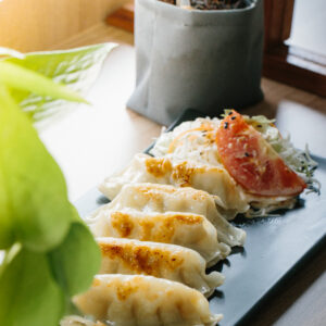 Crispy Pan Seared Gyoza