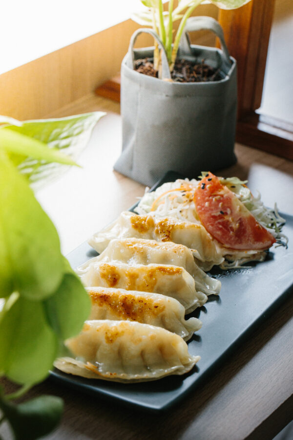 Crispy Pan Seared Gyoza